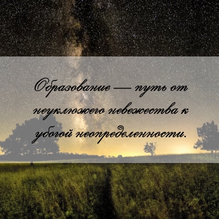 цитата об образовании и эссе